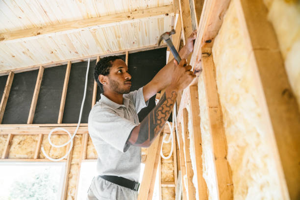Best Wall Insulation Contractor  in Bemidji, MN