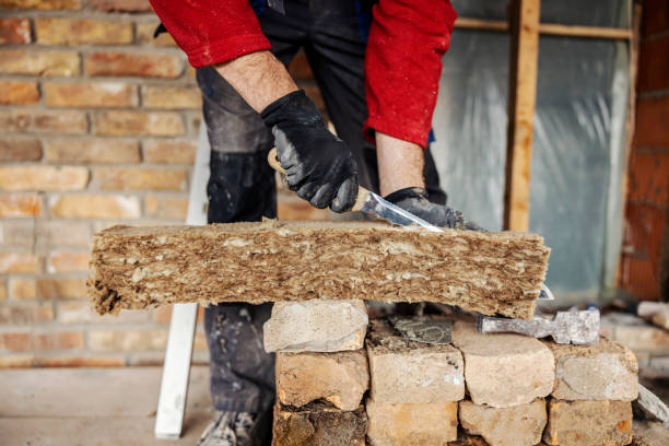 Best Affordable Insulation Services  in Bemidji, MN